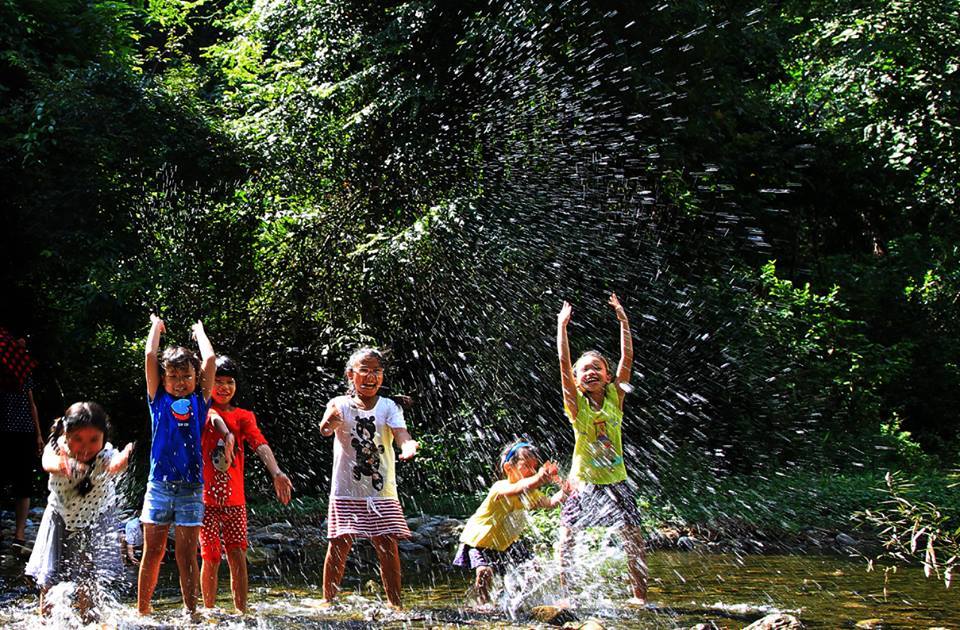 Thiên đường gấu tam đảo - Điểm du lịch cuối tuần giúp bé thêm yêu thiên nhiên