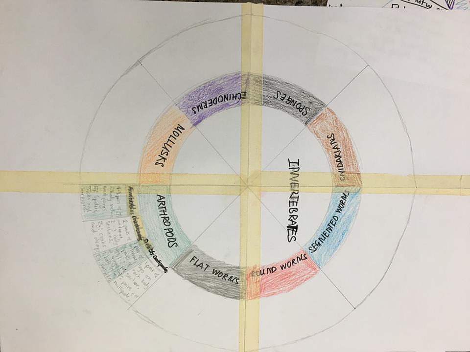 Hướng dẫn các mẫu Graphic Organizers giúp trẻ luyện kỹ năng viết hiệu quả