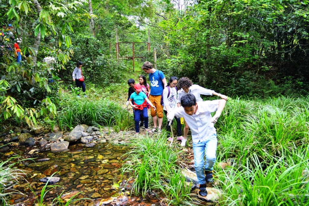 Trạm Đa dạng sinh học Mê Linh - điểm du lịch trải nghiệm được lựa chọn bởi những ai muốn con thêm hiểu biết về thiên nhiên