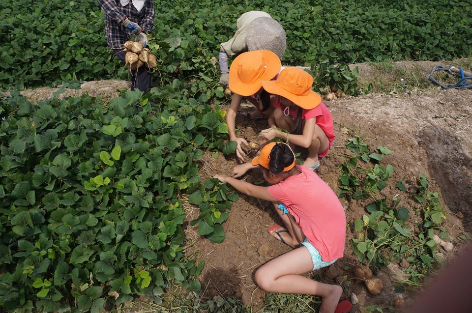 Cảnh quê thơ mộng tại đồi Khe Chè, Đông Triều (Quảng Ninh)