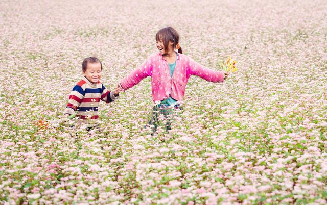 Tháng 11 này, đừng lỡ hẹn với lễ hội hoa Tam giác mạch ở cao nguyên đá Hà Giang