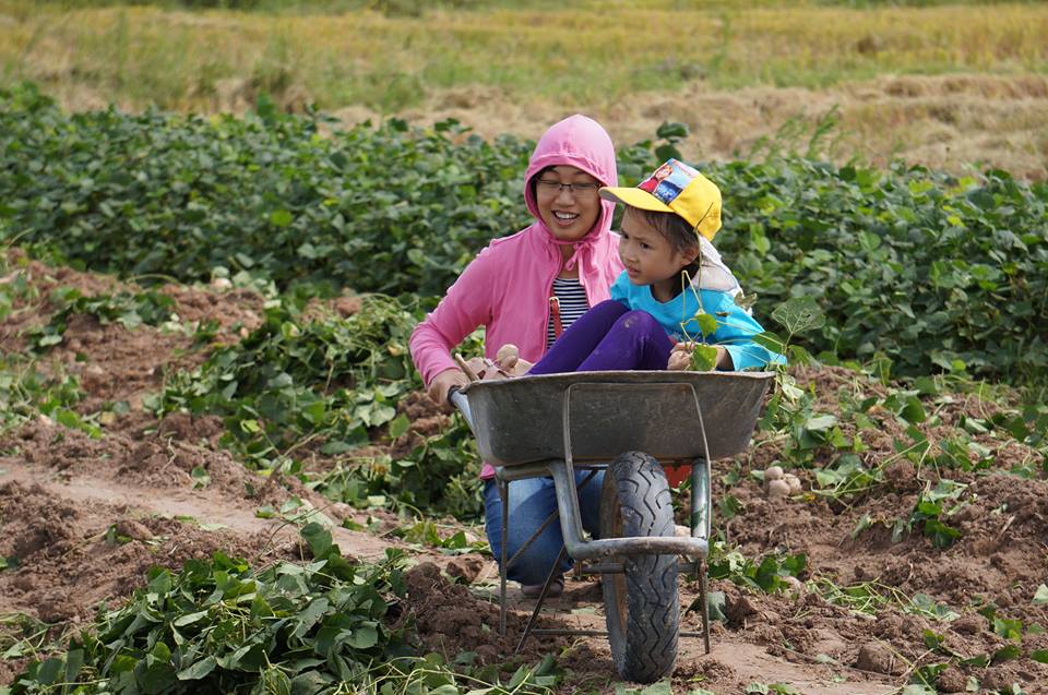 Cảnh quê thơ mộng tại đồi Khe Chè, Đông Triều (Quảng Ninh)