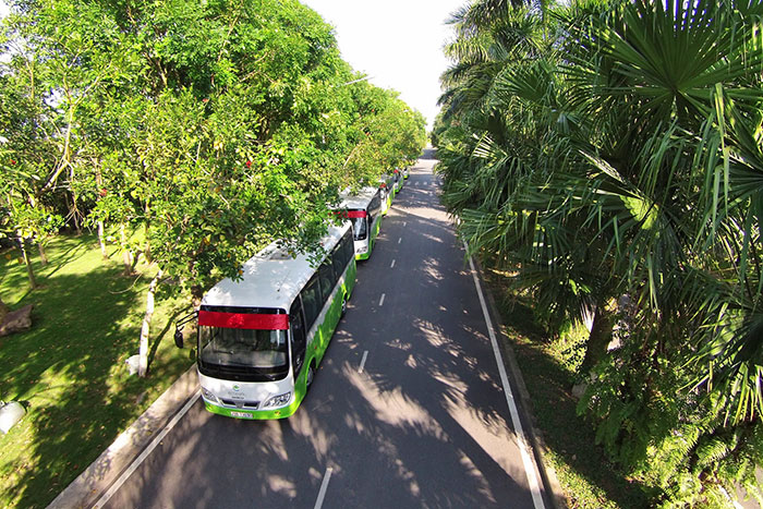 Cách trung tâm Hà Nội chưa đầy 20km, điểm dã ngoại cuối tuần này đang hút hồn các mẹ bỉm sữa