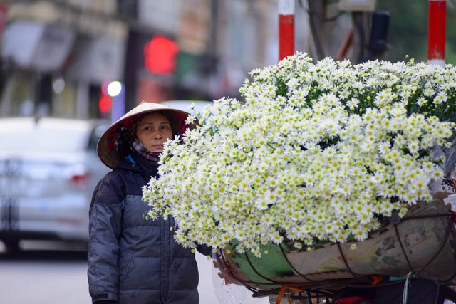 Đầu đông, người dân đổ xô tới vườn hoa Nhật Tân chụp ảnh cúc hoạ mi