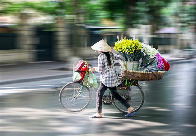 Đầu đông, người dân đổ xô tới vườn hoa Nhật Tân chụp ảnh cúc hoạ mi