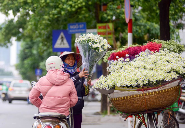 Đầu đông, người dân đổ xô tới vườn hoa Nhật Tân chụp ảnh cúc hoạ mi