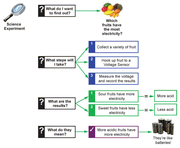 Graphic Organizers là gì, tại sao dùng, tìm mẫu ở đâu?