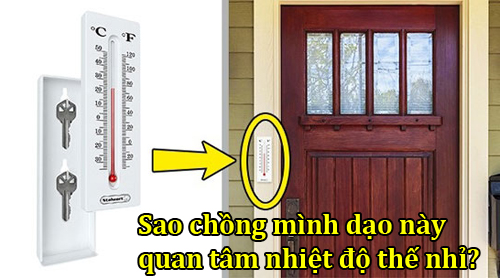 Những nơi giấu quỹ đen tự chế 'đỉnh cao' của phe mày râu