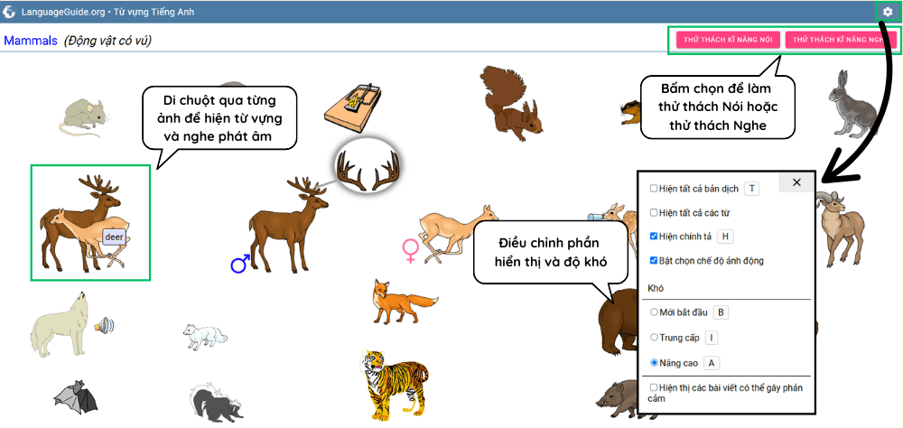TRANG WEB HỌC TỪ VỰNG TIẾNG ANH CÓ HỖ TRỢ TIẾNG VIỆT DỄ HIỂU