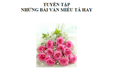 Picture of TUYỂN TẬP NHỮNG BÀI VĂN MIÊU TẢ HAY từ Happy Way và Next Nobels