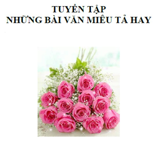 Picture of TUYỂN TẬP NHỮNG BÀI VĂN MIÊU TẢ HAY từ Happy Way và Next Nobels