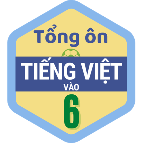 Picture of Combo Tiếng Việt lớp 5 và Tổng ôn Tiếng Việt vào 6 mùa thi 2023 