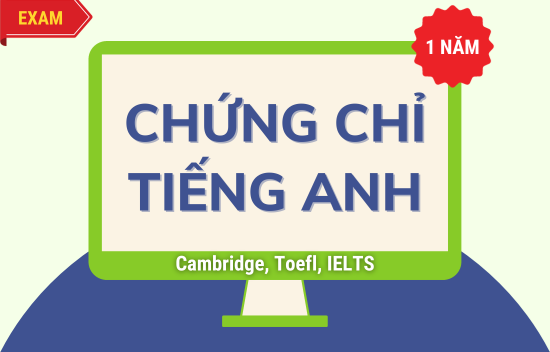 Trọn bộ ôn thi chứng chỉ Tiếng Anh 01 năm